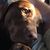 Mike Reynolds's profile image