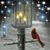 Linda S. Cargal's profile image