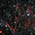 Christina Jones Carroll's profile image