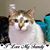 Nancy J Carlson's profile image