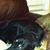 Jennifer A. Evans's profile image