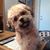 Bill Busby's profile image