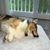 Staci Treiber's profile image