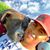 Arroz Tellez's profile image