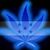 Marlon Herrera's profile image