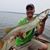 Mike Mesch's profile image