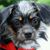 Ken Buttram's profile image