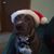 Margaret Durrette's profile image