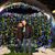 Marlene Johanson's profile image