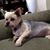 Connie Towey's profile image