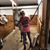 Brenda Smiddie's profile image