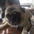 Jerry Unruh's profile image