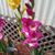 Dorothy Bunch's profile image