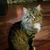 Linda Tharp Schneider's profile image