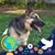 Cheryl Lynn Ross's profile image