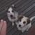 Georgette Mendez's profile image