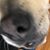 Rob Noga's profile image