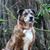 John Giantonio's profile image
