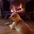Margaret Donahue's profile image