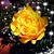 Patrice Kreiser's profile image