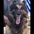 Kathleen Urbina's profile image