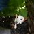Sarah Seaman's profile image