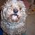 Lori Young's profile image