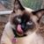 Leanne Rivas's profile image