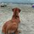 Julie Ann's profile image