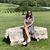 Aimee Dumas's profile image