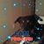 Lori Gallier Campbell's profile image
