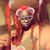 Sieira Gnarly Kindell's profile image