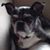 Joy Tice Allen's profile image