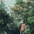 Rishit's profile image