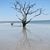 Rachel Mitchel's profile image