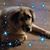 Lisa Metcalf's profile image