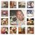 Jim Reavis's profile image