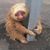 Shauna McKimmie's profile image