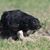Linda Spindor's profile image