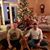 Debbie Amick Brehmer's profile image