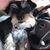 Lynn Ann Compton's profile image