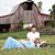 Schae Wood's profile image