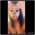 Terrye Hill's profile image
