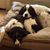 Marcie Flournoy's profile image
