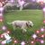 Kimie Sato Edwards's profile image
