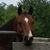 Suzy Mann's profile image