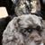 Polly Bennett's profile image