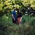 Claire Turissini's profile image