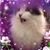 Karen Dan Beyer's profile image