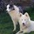 Tammy McCarley-Dreier's profile image